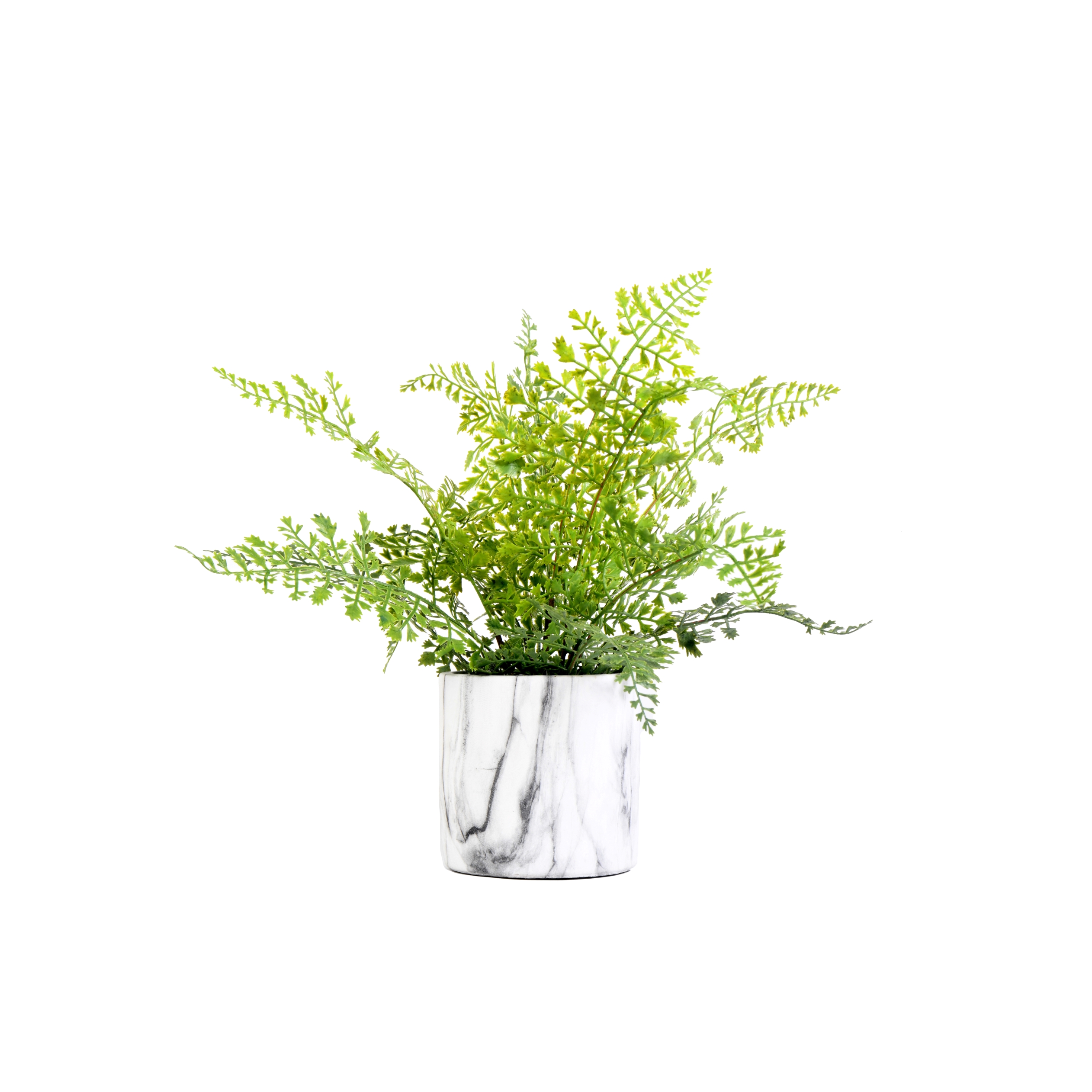 DW Silks 14″ Iron Fern in Ceramic Planter