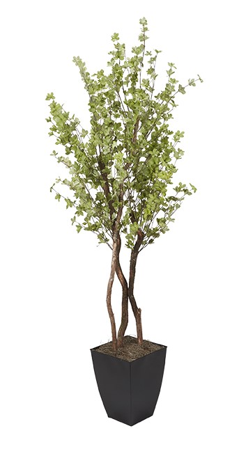 DW Silks Star Leaf Tree in Planter 7′