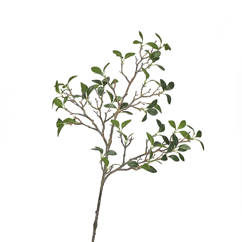 DW Silks Frangipani Branch