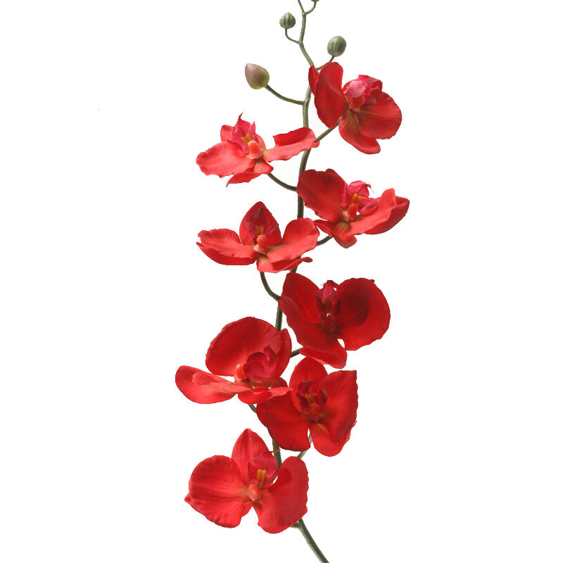 DW Silks Red Phael Orchid Stem