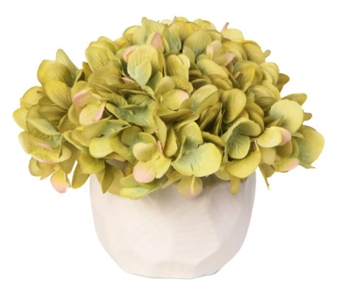 Screenshot 2026-09-29 122136 Green Hydrangea in Stone Planter - Image 1