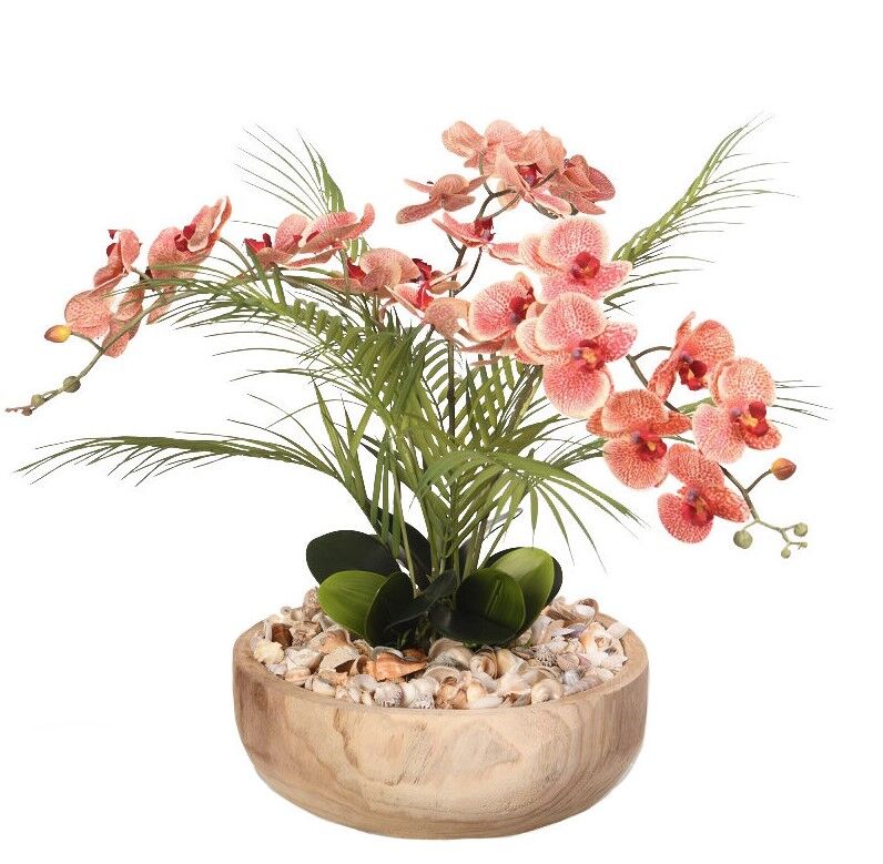 Screenshot 2026-09-30 102327 Red & Cream Phal Orchids in Ambrose Flat Bowl - Image 1
