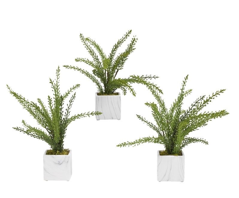 Screenshot 2026-09-30 102814 Heather Fern in White Marbled Ceramic Cube – Set of 3 - Image 1